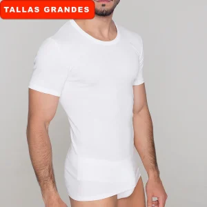 5282b CAMISETA MANGA CORTA BÁSICA