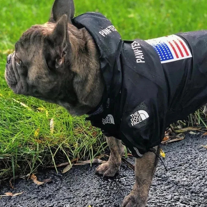 FLAG Puppy Coat - Imagen 4